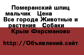 Померанский шпиц мальчик › Цена ­ 30 000 - Все города Животные и растения » Собаки   . Крым,Ферсманово